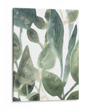 Hojas De Agua Iv - June Erica Vess | Cuadro decorativo de Canvas Lab