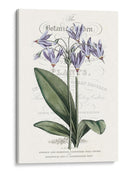 Varietales De Jardín De Flores I - Vision Studio | Cuadro decorativo de Canvas Lab