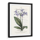 Varietales De Jardín De Flores I - Vision Studio | Cuadro decorativo de Canvas Lab