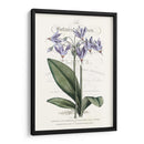 Varietales De Jardín De Flores I - Vision Studio | Cuadro decorativo de Canvas Lab