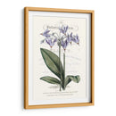 Varietales De Jardín De Flores I - Vision Studio | Cuadro decorativo de Canvas Lab