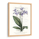 Varietales De Jardín De Flores I - Vision Studio | Cuadro decorativo de Canvas Lab