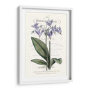 Varietales De Jardín De Flores I - Vision Studio | Cuadro decorativo de Canvas Lab