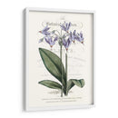 Varietales De Jardín De Flores I - Vision Studio | Cuadro decorativo de Canvas Lab