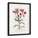 Varietales De Jardín De Flores Ii - Vision Studio | Cuadro decorativo de Canvas Lab