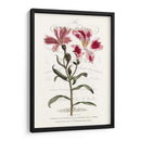 Varietales De Jardín De Flores Ii - Vision Studio | Cuadro decorativo de Canvas Lab