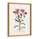 Varietales De Jardín De Flores Ii - Vision Studio | Cuadro decorativo de Canvas Lab