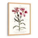 Varietales De Jardín De Flores Ii - Vision Studio | Cuadro decorativo de Canvas Lab