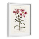 Varietales De Jardín De Flores Ii - Vision Studio | Cuadro decorativo de Canvas Lab