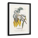 Varietales De Jardín De Flores Iii - Vision Studio | Cuadro decorativo de Canvas Lab