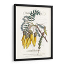 Varietales De Jardín De Flores Iii - Vision Studio | Cuadro decorativo de Canvas Lab