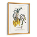 Varietales De Jardín De Flores Iii - Vision Studio | Cuadro decorativo de Canvas Lab