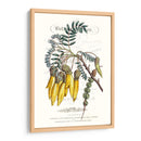 Varietales De Jardín De Flores Iii - Vision Studio | Cuadro decorativo de Canvas Lab