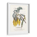 Varietales De Jardín De Flores Iii - Vision Studio | Cuadro decorativo de Canvas Lab