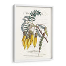 Varietales De Jardín De Flores Iii - Vision Studio | Cuadro decorativo de Canvas Lab