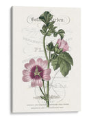 Varietales De Jardín De Flores Iv - Vision Studio | Cuadro decorativo de Canvas Lab