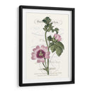 Varietales De Jardín De Flores Iv - Vision Studio | Cuadro decorativo de Canvas Lab