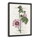 Varietales De Jardín De Flores Iv - Vision Studio | Cuadro decorativo de Canvas Lab