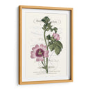 Varietales De Jardín De Flores Iv - Vision Studio | Cuadro decorativo de Canvas Lab