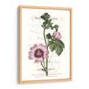 Varietales De Jardín De Flores Iv - Vision Studio | Cuadro decorativo de Canvas Lab