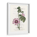 Varietales De Jardín De Flores Iv - Vision Studio | Cuadro decorativo de Canvas Lab