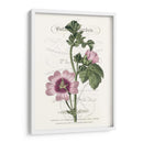 Varietales De Jardín De Flores Iv - Vision Studio | Cuadro decorativo de Canvas Lab