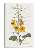 Varietales De Jardín De Flores V - Vision Studio | Cuadro decorativo de Canvas Lab