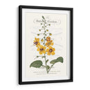 Varietales De Jardín De Flores V - Vision Studio | Cuadro decorativo de Canvas Lab