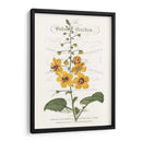 Varietales De Jardín De Flores V - Vision Studio | Cuadro decorativo de Canvas Lab