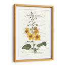Varietales De Jardín De Flores V - Vision Studio | Cuadro decorativo de Canvas Lab