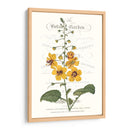 Varietales De Jardín De Flores V - Vision Studio | Cuadro decorativo de Canvas Lab