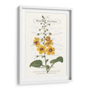 Varietales De Jardín De Flores V - Vision Studio | Cuadro decorativo de Canvas Lab