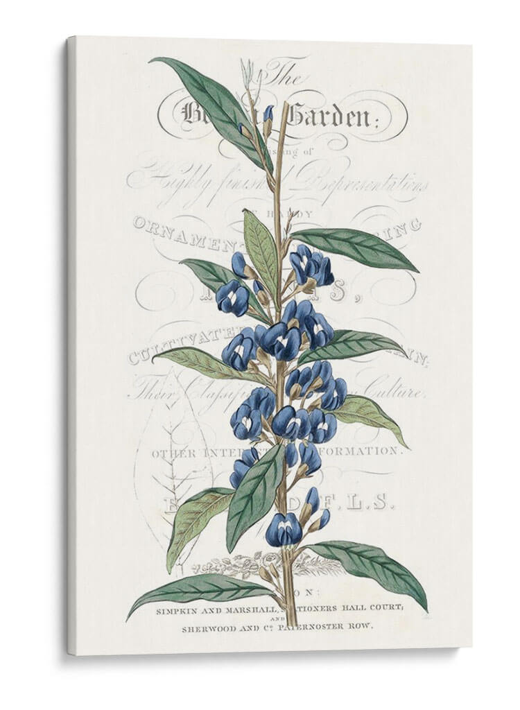 Varietales De Jardín De Flores Vi - Vision Studio | Cuadro decorativo de Canvas Lab