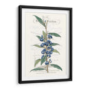 Varietales De Jardín De Flores Vi - Vision Studio | Cuadro decorativo de Canvas Lab