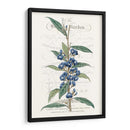 Varietales De Jardín De Flores Vi - Vision Studio | Cuadro decorativo de Canvas Lab