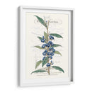 Varietales De Jardín De Flores Vi - Vision Studio | Cuadro decorativo de Canvas Lab