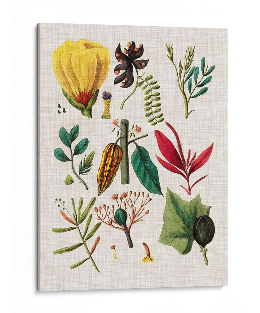 Asamblea Floral I - Vision Studio | Cuadro decorativo de Canvas Lab