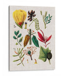 Asamblea Floral I - Vision Studio | Cuadro decorativo de Canvas Lab