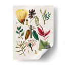 Asamblea Floral I - Vision Studio | Cuadro decorativo de Canvas Lab