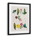 Asamblea Floral Ii - Vision Studio | Cuadro decorativo de Canvas Lab