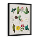 Asamblea Floral Ii - Vision Studio | Cuadro decorativo de Canvas Lab