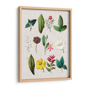 Asamblea Floral Ii - Vision Studio | Cuadro decorativo de Canvas Lab