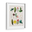 Asamblea Floral Ii - Vision Studio | Cuadro decorativo de Canvas Lab