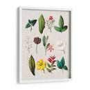 Asamblea Floral Ii - Vision Studio | Cuadro decorativo de Canvas Lab