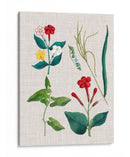 Asamblea Floral Iii - Vision Studio | Cuadro decorativo de Canvas Lab