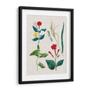 Asamblea Floral Iii - Vision Studio | Cuadro decorativo de Canvas Lab