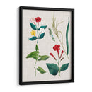 Asamblea Floral Iii - Vision Studio | Cuadro decorativo de Canvas Lab
