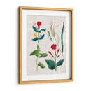 Asamblea Floral Iii - Vision Studio | Cuadro decorativo de Canvas Lab