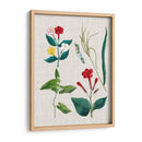 Asamblea Floral Iii - Vision Studio | Cuadro decorativo de Canvas Lab