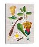 Montaje Floral V - Vision Studio | Cuadro decorativo de Canvas Lab